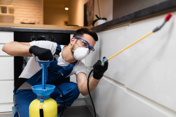Best Local Pest Control Services  in Smackover, AR