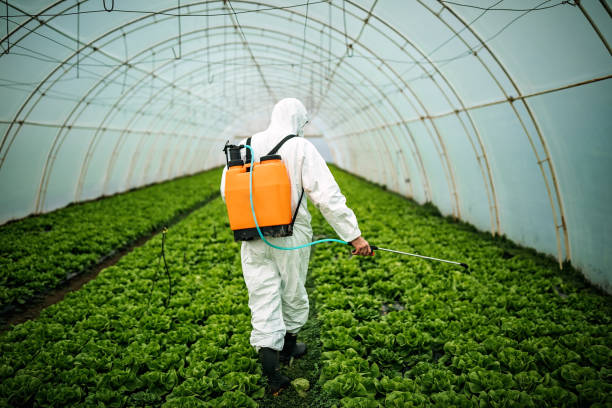 Best Residential Pest Control  in Smackover, AR