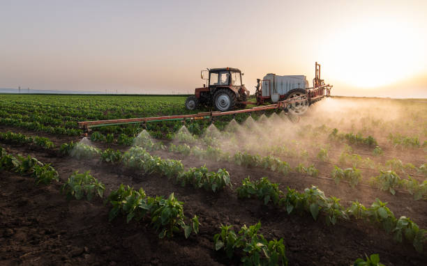 Best Insect Control  in Smackover, AR