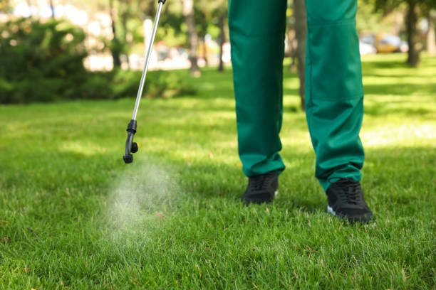 Best Pest Control Near Me in Smackover, AR