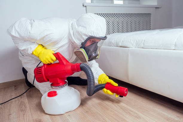 Best Pest Control for Restaurants  in Smackover, AR
