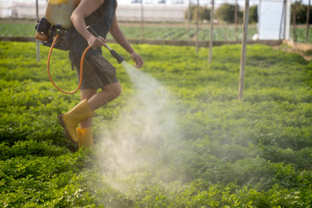 Best Affordable Pest Control Services  in Smackover, AR