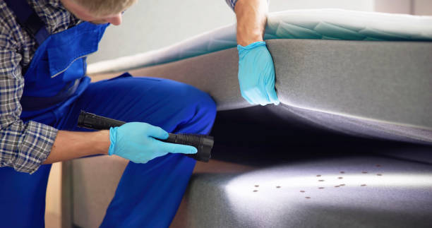 Best Pest Removal Services  in Smackover, AR