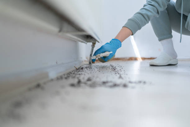 Best Pest Control for Homes  in Smackover, AR