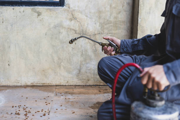 Best Best Pest Control Companies  in Smackover, AR